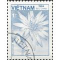 VIETNAM, FLOWER, Water lily, Nymphaea ampla, bl...