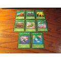 1996, 8-Cards, All 1st Editions, Yu-Gi-Oh,