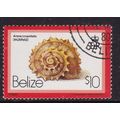 Belize 1980 Shells Star Arene $10 Fine Used SG ...