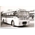 Black & White Photograph of Tillings Transport ...