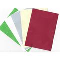 A6 Embossed Card. 10 Sheets. Leaves. Cardmaking...