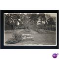 Sussex PULBOROUGH Lodge Hill Garden Postcard by...