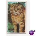 1994 Brooke Bond collectors Tea card GOING WILD...
