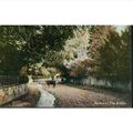 Queen Series Vintage British Postcard - Hacknes...