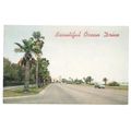 OCEAN DRIVE, CORPUS CHRISTI, TEXAS, vintage unu...