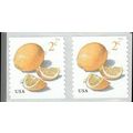 Meyer Lemons 2 Cent Postage Stamps One Pack of ...