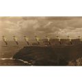 Coast At Tintagel, Cornwall, 11721 Judges Postc...