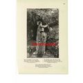 Give Those Human Blossoms Human Love, Poetry, B...