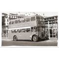 Black & White Photograph of Manchester Corporat...