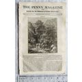 1833 The Penny Magazine No. 83 Castalia, Tinter...