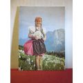 MEADOW WITH FLOWERS, NARCISSUS POETICUS, AUSTRI...