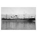 mc3129 - Bank Line Cargo Ship - Pinebank - phot...