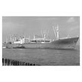 mc3357 - Singapore Cargo Ship - Tema , built 19...