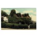 Oxfordshire postcard Ivy Cottage Hollywood