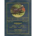 tartan arabians 1972 ferdeenah ferdine ferleta ...