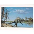 United States 1989 Dinosaurs Maximum cards set ...