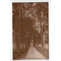The Avenue Drummond Castle Crieff RP Postcard 1...
