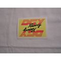 1991 Champs Hi Flyers STICKER-DGY RACING