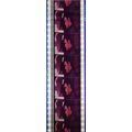 Way of the Dragon. Pk MVD - A017q . 1 STRIP OF ...