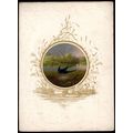 FEATHERED FAVOURITES - SWALLOW 1854 Joseph Wolf...