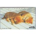 Puppies V4 Japan NTT Phone Card