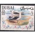 UAE (Dubai) 1968 - SG317 - 60d - Lesser Black-b...