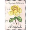 AUSTRALIA, FLOWERS, Marjorie Atherton Rose, whi...