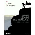Lean Six Sigma Black Belt - Mindset, Skill set Tool set by H.C. Theisens