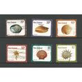 New Zealand 1975 Shells, used. SG1099-1104