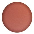 Starcke 100G Sanding Disc 200 mm (Lagler Trio d...