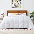 Queen Size Cozy All Seasons Plush White Polyest...