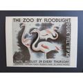 London Transport Museum MX1 Zoo By Floodlight P...