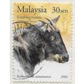 MALAYSIA 2003 SOUTHERN SEROW SUMATRAN GOAT ANTE...