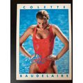 Portfolio '92 International Swimsuit Base tradi...