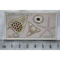 1929 Players Hidden Beauties No. 21 Radiolarians