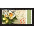 GER 2004 €0.55 'GREETING STAMPS -CAMILLIA' FINE...