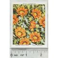 1939 Wills Garden Flowers New Varieties 2nd No....