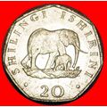 2 SOLD ELEPHANT WITH CALF: TANZANIA ★ 20 SHILLI...