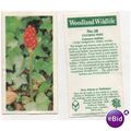 Brooke Bond Tea card Woodland Wildlife series n...