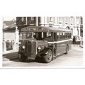Black & White Photo of South Wales Transport Co...