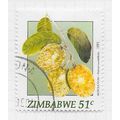 ZIMBABWE 1991 WILD FRUITS MOBOLA PLUM 51c USED ...