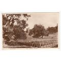 The Castle Ruthin Postcard RP Denbighshire Wale...