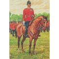 Essex Military Regiment Commanding Officer Unif...