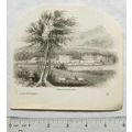 1860s engraving - Leeds Castle, Kent