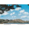 Mallorca Pollenca Spain Postcard used crease