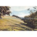 D023243 Box Hill. Surrey. Dixon