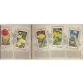 AN ALBUM OF WILD FLOWERS complete set in album..