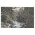 Colinton Dell Edinburgh 1917 M Wane & Co Postcard