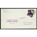 Small Bronco Rider in deep purple Registered Fa...