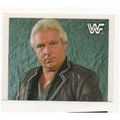 Merlin WWF 1990 World Wrestling Federation stic...